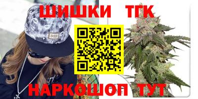 МДПВ Обь