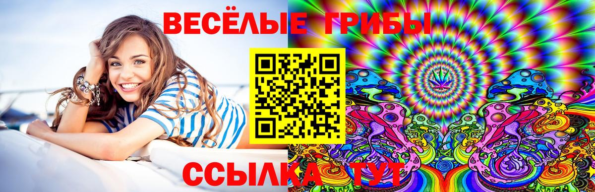 Псилоцибиновые грибы GOLDEN TEACHER  Вход с VPN  Соликамск 